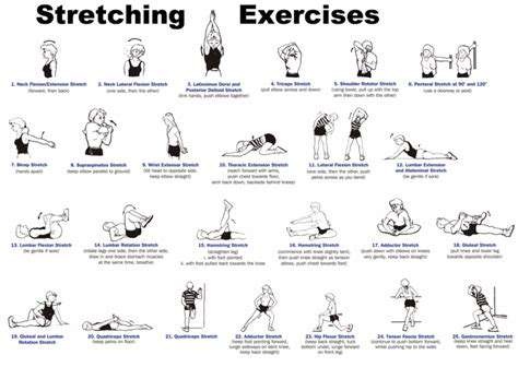 BeyondStaticStretches:ThePowerofDynamicMovement