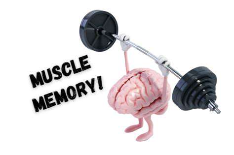 The Science Behind Enhancing Hand Muscle Memory