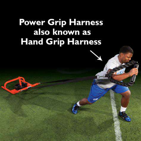 HarnessthePowerofHandGrippers
