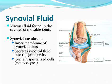 MaintainingHealthySynovialFluidforOptimalJointFunction