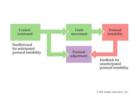 SophisticatedControlMechanisms:EnablingNaturalMovement