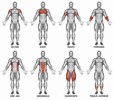 TargetingSpecificMuscleGroups:ForearmandBicepWarm-ups