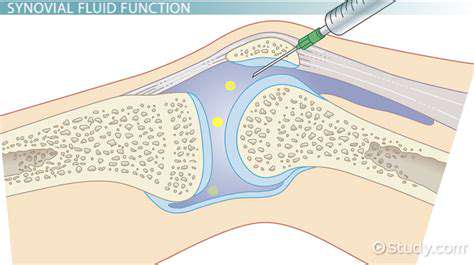 The Role of Synovial Fluid in Joint Health