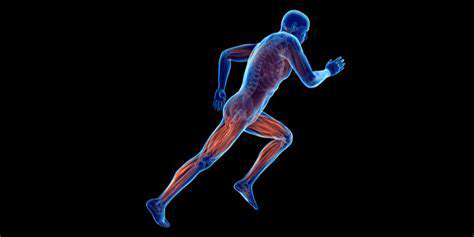 TheNeuromuscularCoordination