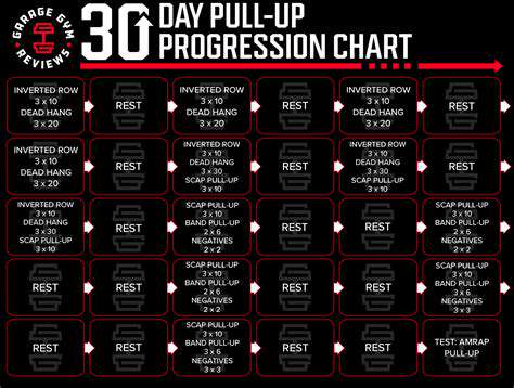 WorkoutProgrammingandProgression