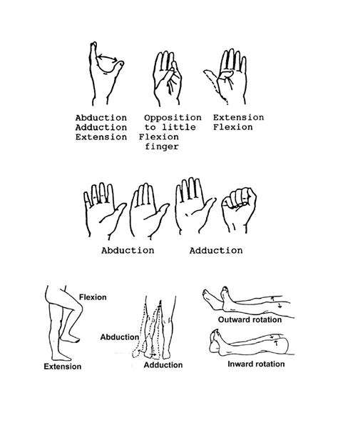 IntroductiontoHandStretchesforImprovedRangeofMotion