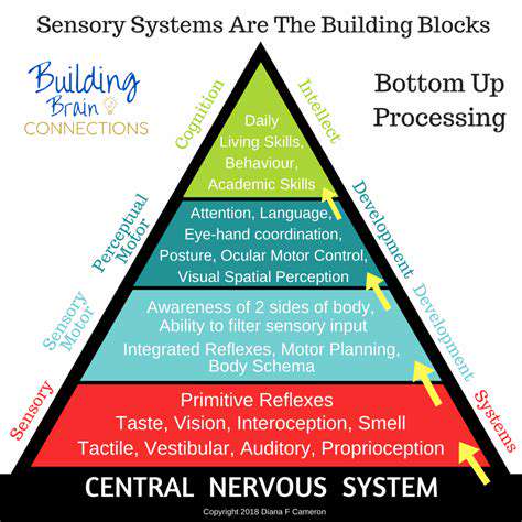SensoryInput:TheFoundationofMovement