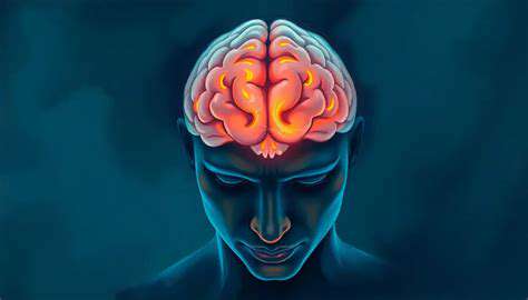 TheNeurobiologicalUnderpinningsofHand-BrainConnection