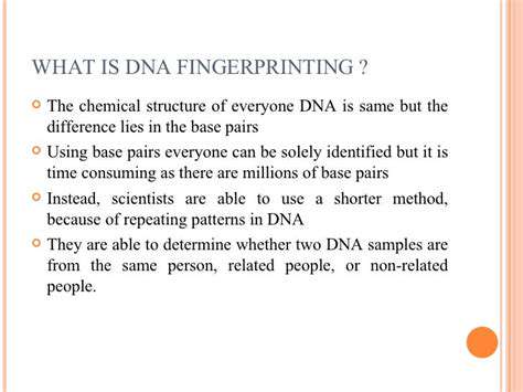 ForensicApplications:FingerprintAnalysisinCrimeSceneInvestigation