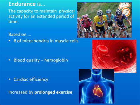 EnhancingEnduranceforExtendedActivities