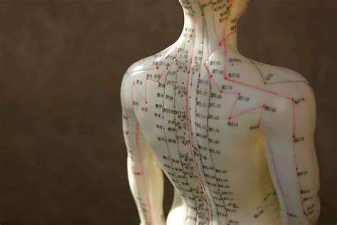 HarnessingthePotentialofAlternativeTherapies:AcupunctureandMassage